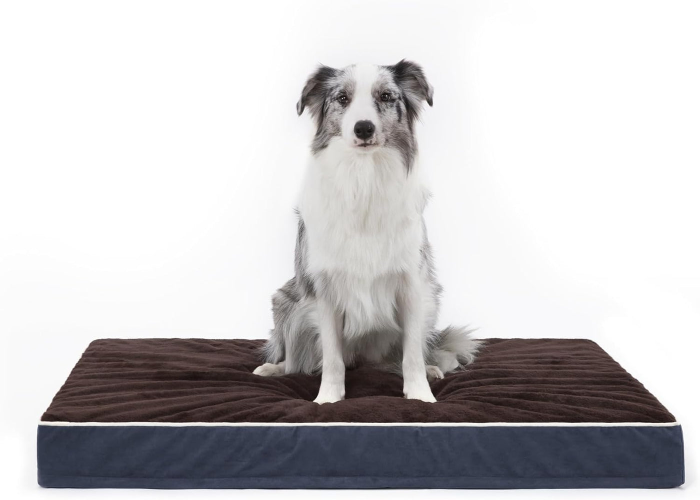 EXQ Home Orthopedic Dog Bed - Large Dog Couch with Washable Cover and Bolster | Durable, Non-Slip Bottom, Egg-Crate Foam (Grey, 36x28) PREMIUM GIFTS AUSTRALIA.